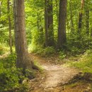 마음편한병원 이미지