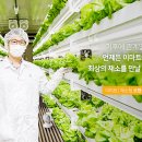 스마트팜 이미지