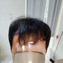 모모즈헤어&증모