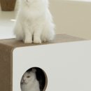 마이펫하우스 이미지