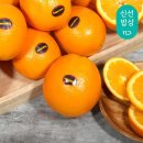 썬리지 이미지