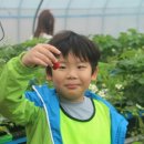 하단태권도체육관 이미지