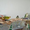 인천조류원 이미지