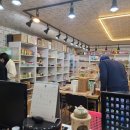 미니펫스토리 이미지