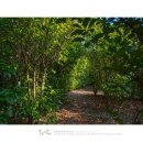 서쪽아이 이미지