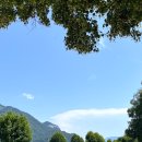 고향마을 | 오스트리아 소도시 여행 | 모차르트 어머니의 고향 마을, 장크트 길겐(St. Gilgen) 방문 후기 🎶