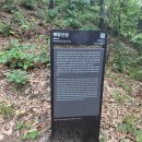 동천행정사 이미지