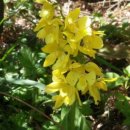 화수목 농원 이미지