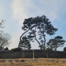 카페공간 | 시흥 한옥카페 추천! 애견동반 가능한 감성카페 ‘청화공간’ 후기