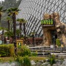 거제식물원 이미지