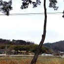 서천 판교 근대역사문화공간 | 전통건축-1029. 서천 이하복고택 - 며느리에게 독립적인 공간을 배려한 사랑이 깃든 집(2025.02.16.)