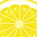 선유애견 이미지