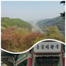 의전3 이미지