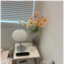 펜션 울릉도 이미지