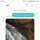 진광로 이미지