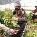 (주)열무 이미지