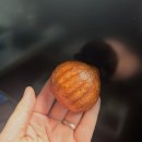 신비공원 | [양산맛집]버터떡 맛후기 데이트코스추천 신비숲가든 오리고기맛집 메종누벨 카페 디저트 뽀시기