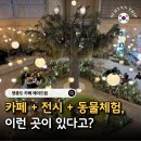 드림개발 | 인천 가볼만한곳 영종도 메이드림 카페 다녀온 후기