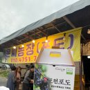 윤씨네농장 | 포천 광릉수목원 포도, 소흘읍, 3KG 27,000원