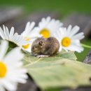 성북구재활용센터 이미지