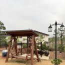 미스터로빈 이미지