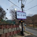 챔버(꽃의 내부) | 부산 정관 벚꽃 명소 웨스턴챔버 후기