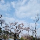 (주)이마트 포항점 애완/원계 | [대구수성구아이랑] 화랑공원, 대구수성도서관