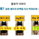 마스터점핑 이미지