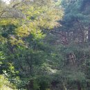 신보령공인중개사사무소 이미지