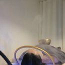 옥포피부관리실