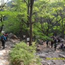 새마을교 이미지