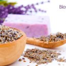 화이트피부관리실 이미지