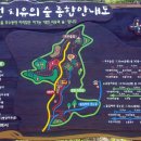 치유의숲 진입도로 이미지