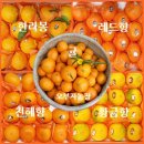 오부자농장 이미지