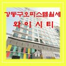 더블와이피