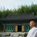 천호사 Daum카페