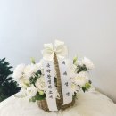 신월동135 이미지