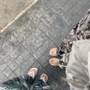 금탑카에어컨 | 치앙마이 여행 / 마이리얼트립 왓우몽 + 도이수텝 야경투어 내돈내산 후기 (+할인쿠폰)