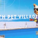 고성 애견동반펜션 풀펫 이미지