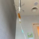 본죽&비빔밥카페 마곡나루역점 | 본죽&amp;비빔밥 cafe 마곡나루역점 포장 후기(ft. 기프티콘, 전복내장죽+소불고기버섯뚝배기)