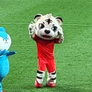 원팀 유도 센터 | 24.06.11~12. A매치 중국전 직관, 축구용품샵 방문, 국대 포토이즘, 인사이드 아웃 2 관람