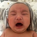 재이스냅 : 경남 분위기 좋은 100일 홈 스냅 강추후기