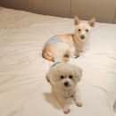 군파크호텔 이미지