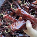 25년 햇고추가루 이미지