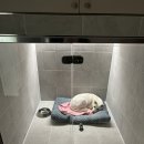 구룡유치원 이미지