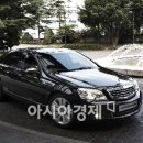 베리타스 이미지