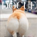 도그(DOGUE) 이미지