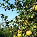 큰바위농장 이미지