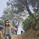무주 향로산자연휴양림 모노레일 가족여행 후기 (가격, 시간)