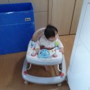 올쏘플러스 이미지